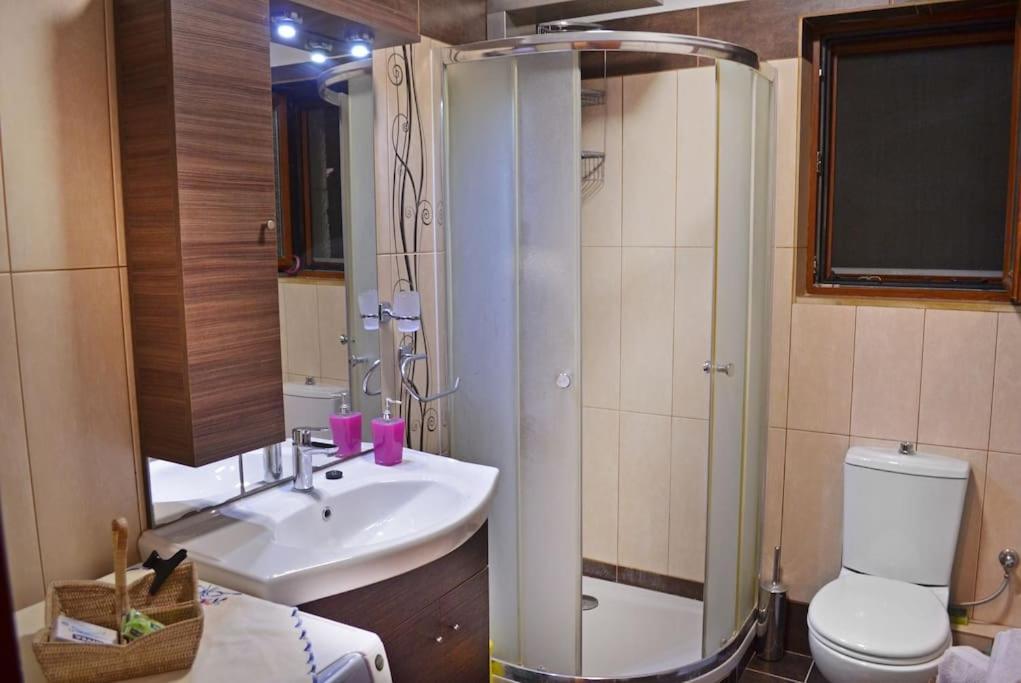 Apartament Το Πετρινο - Καλοκαιρινό Σπίτι Κοντά Στα Σύβοτα - Φασκομηλια Faskomilia Zewnętrze zdjęcie